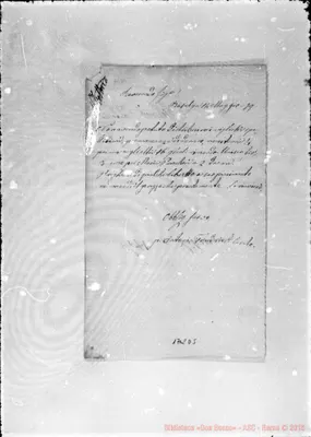 Fotogramma D 5