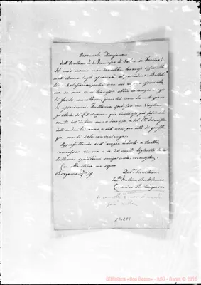 Fotogramma E 8
