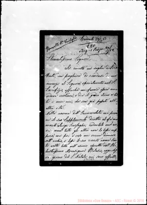 Fotogramma E 9