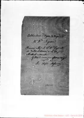 Fotogramma C 3