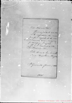 Fotogramma D 5