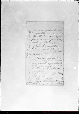 Fotogramma D 11