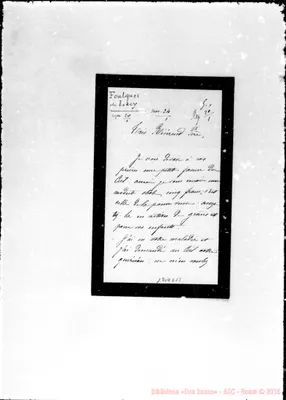 Fotogramma D 12