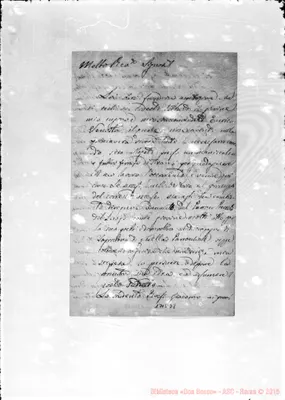 Fotogramma D 8