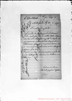 Fotogramma E 5