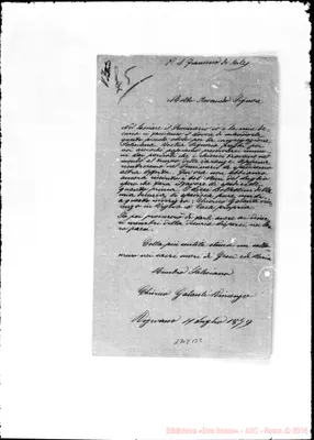 Fotogramma B 2