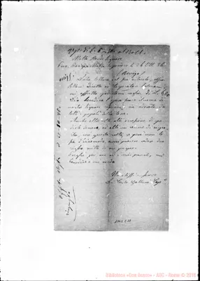Fotogramma C 11