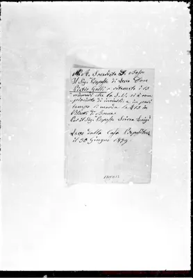 Fotogramma D 12