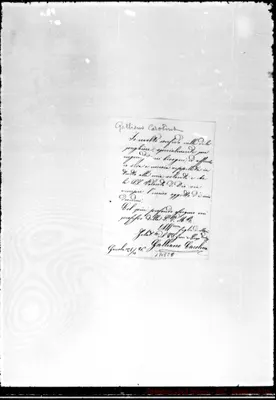 Fotogramma E 6