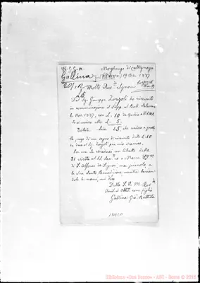 Fotogramma E 11