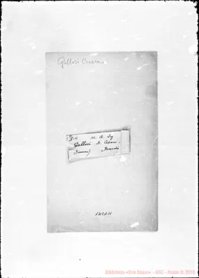 Fotogramma A 11