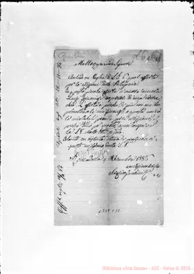 Fotogramma C 12
