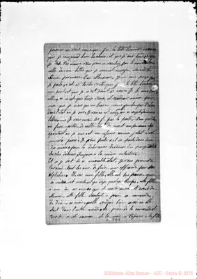 Fotogramma E 7