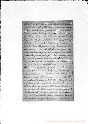 Fotogramma E 8