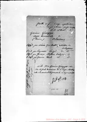 Fotogramma C 11