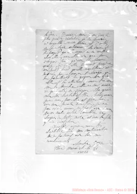 Fotogramma E 8