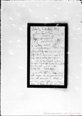 Fotogramma E 8