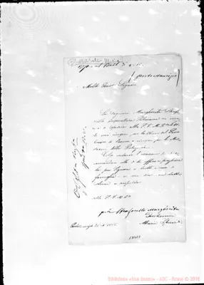 Fotogramma E 8