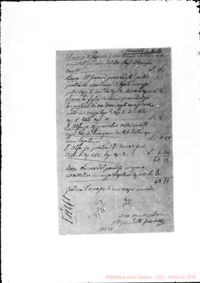 Fotogramma C 1