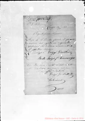 Fotogramma C 11