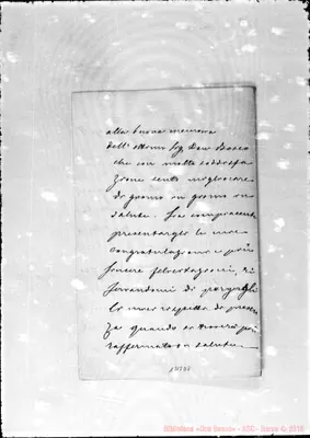 Fotogramma D 8