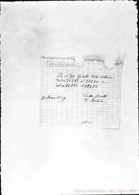 Fotogramma D 10