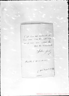 Fotogramma E 8
