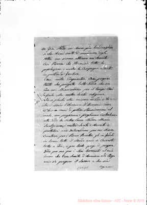 Fotogramma D 11