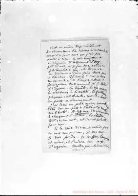 Fotogramma C 11