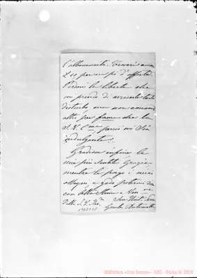 Fotogramma C 11