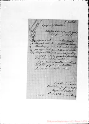 Fotogramma D 2
