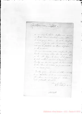 Fotogramma D 11