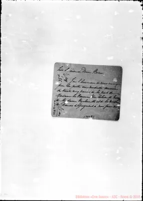 Fotogramma C 7