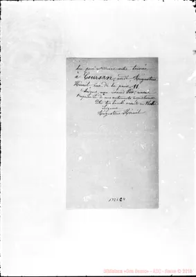 Fotogramma C 4