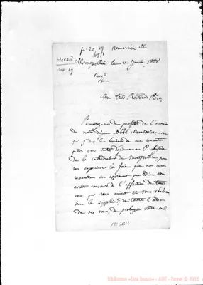 Fotogramma C 12