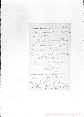 Fotogramma D 12