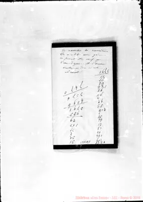 Fotogramma C 8