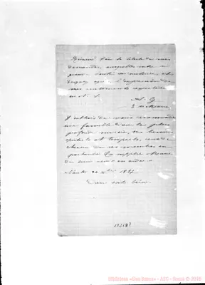 Fotogramma D 7