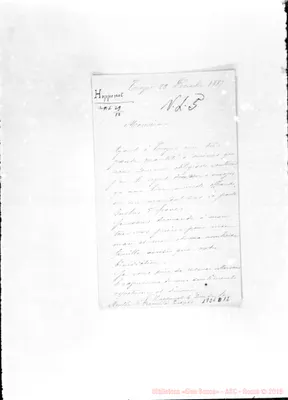 Fotogramma D 12