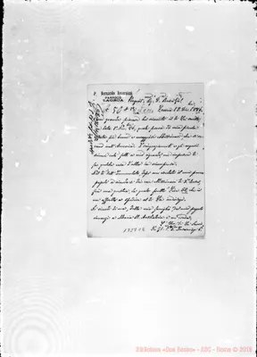 Fotogramma C 6