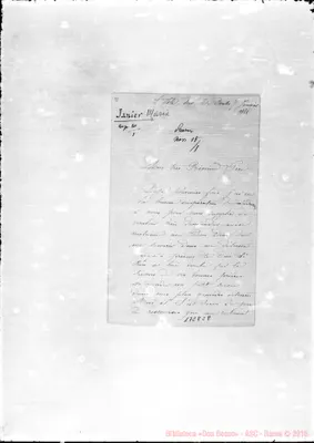 Fotogramma C 8
