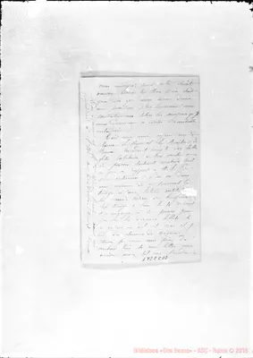 Fotogramma C 10