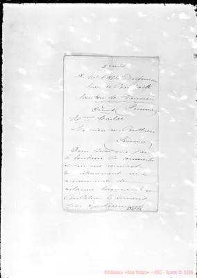 Fotogramma E 8