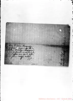 Fotogramma C 3