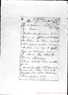 Fotogramma E 8