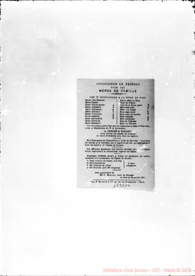 Fotogramma D 6