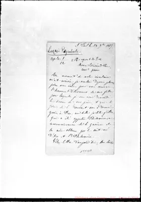 Fotogramma D 11