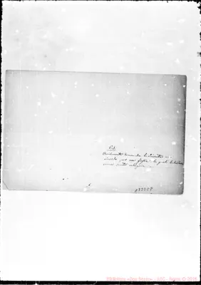 Fotogramma E 8