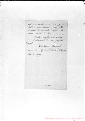 Fotogramma C 1