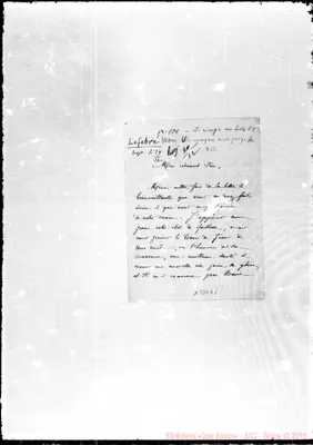 Fotogramma D 5